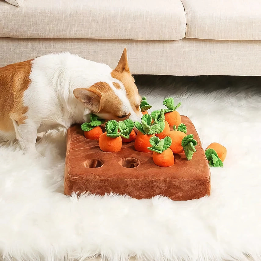 Interactive Plush Carrot Farm Dog Toy