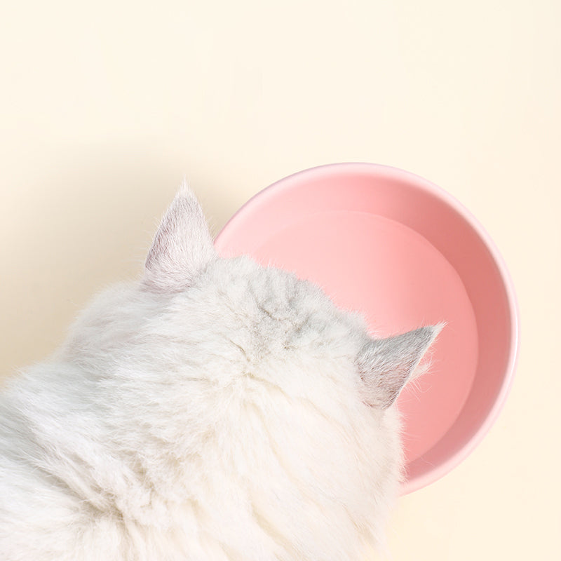 Small Ceramic Cat Bowl