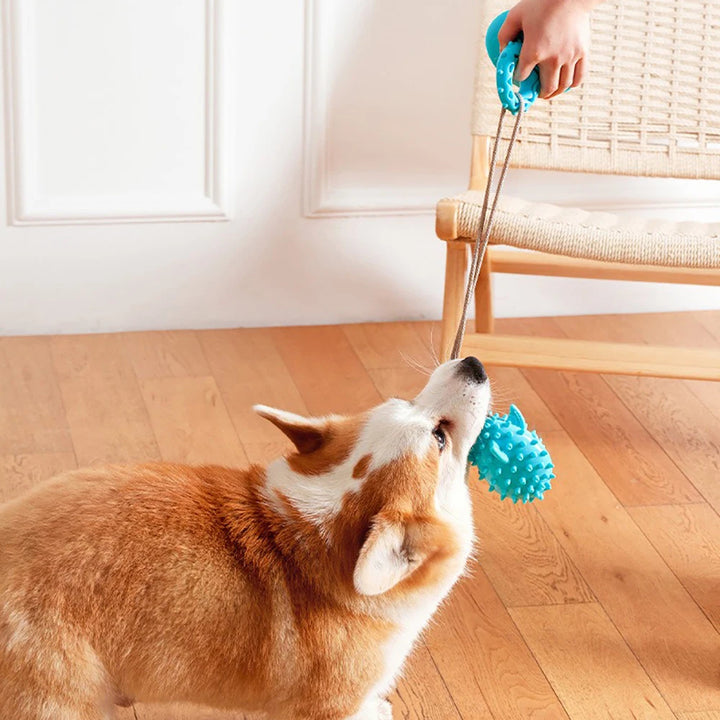 Durable Dog Chew Toy with Suction Cup & Food Dispenser