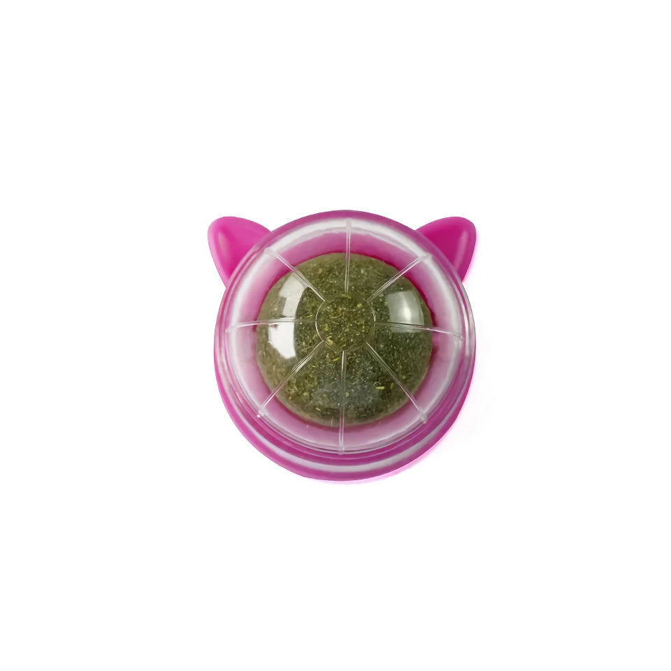 Catnip Wall Ball Toy for Cats