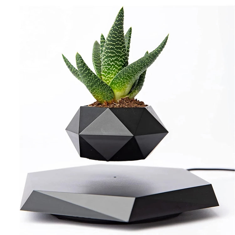 Floating Plant Pot Levitating Plant Pot for Succulents