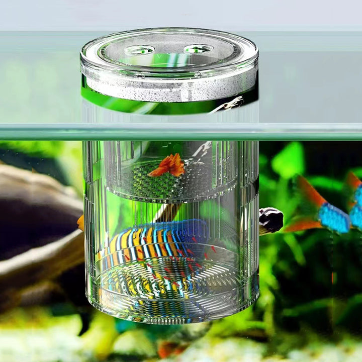 Acrylic Floating Fish Breeding Isolation Box