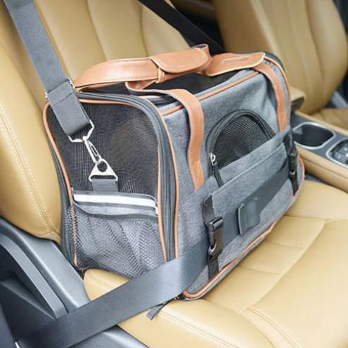 Airplane-Friendly Pet Carrier for Small Dogs and Cats