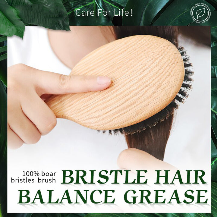 Oak Wood Boar Bristle Hair Brush for Detangling and Scalp Massage