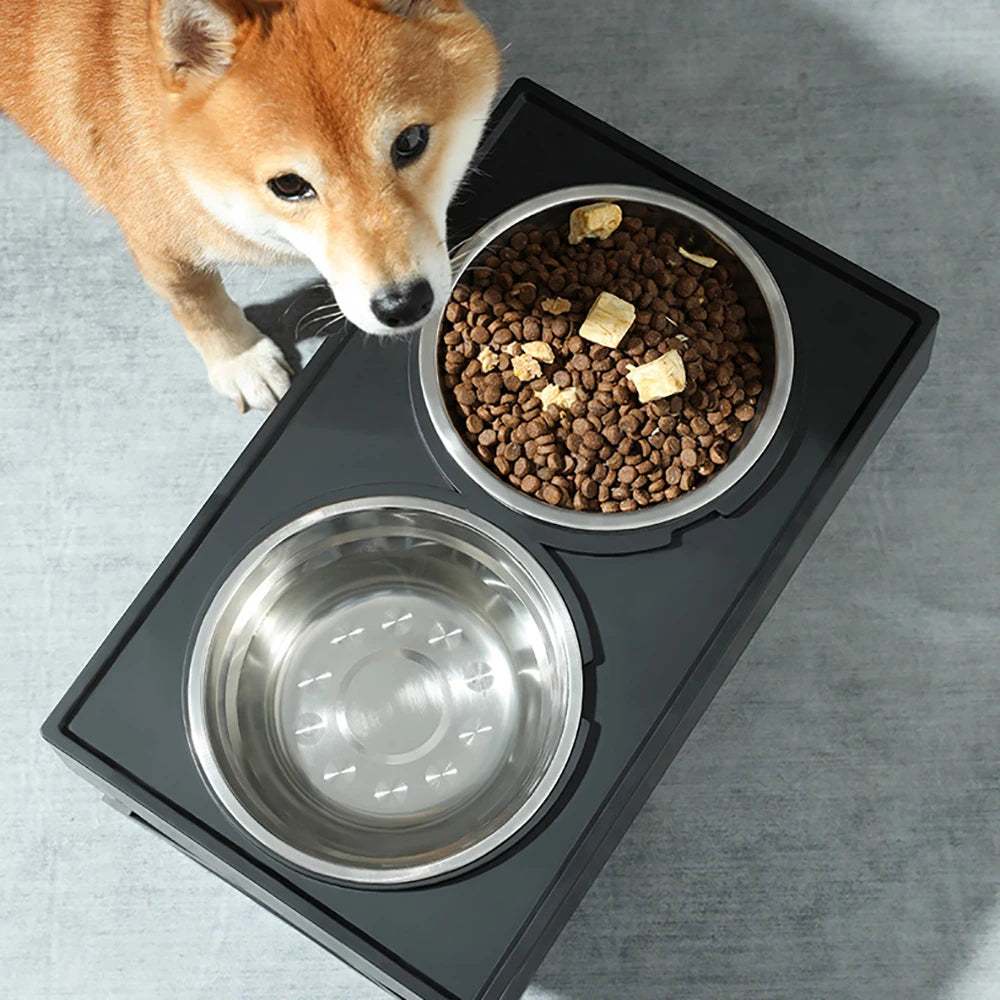 Stainless Steel Elevated Pet Bowls with Slow Food Bowl Accessories