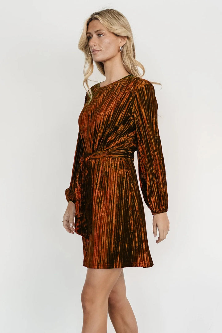 Elegant Velvet Long-Sleeved Dress