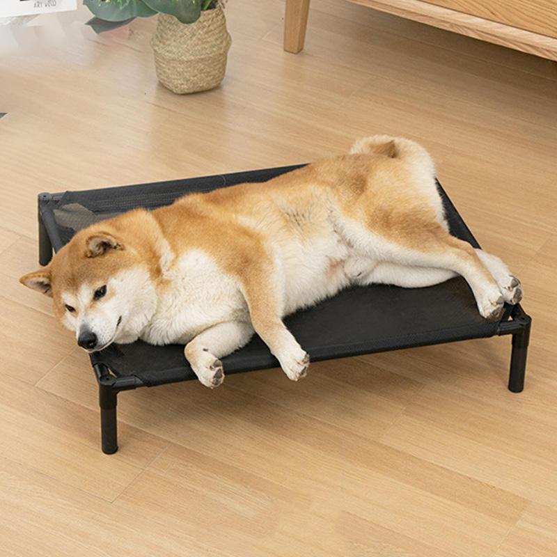 Summer Elevated Dog Bed