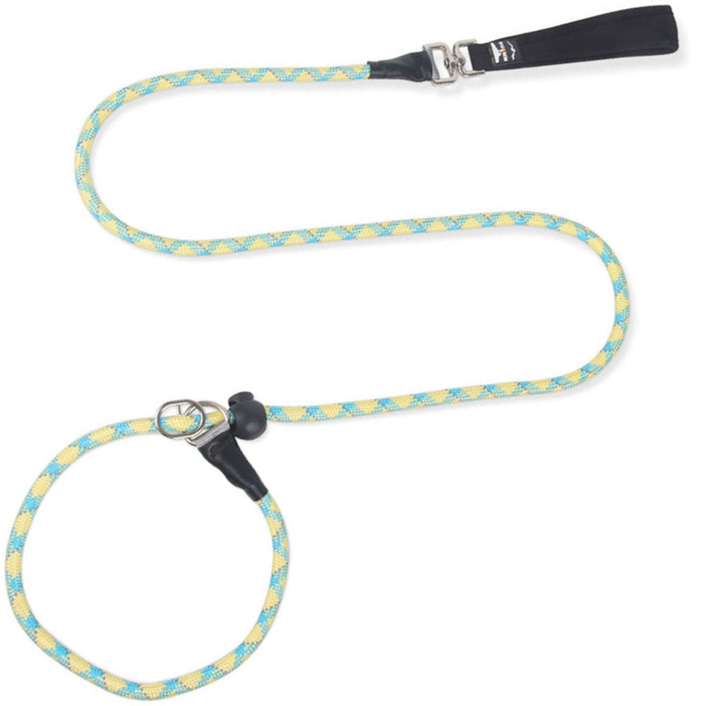 Heavy-Duty Slip Rope Dog Training Leash