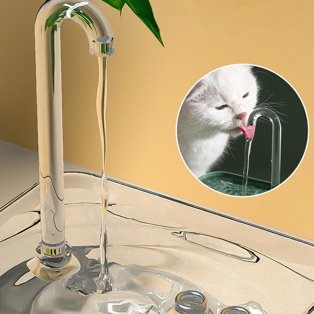 USB-Powered Transparent Pet Water Fountain with Auto Filter