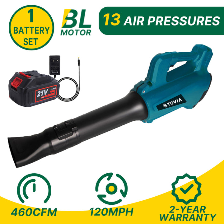 Powerful Cordless Leaf Blower