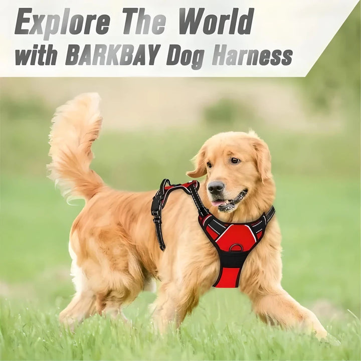 Reflective Adjustable Dog Harness and Leash Set