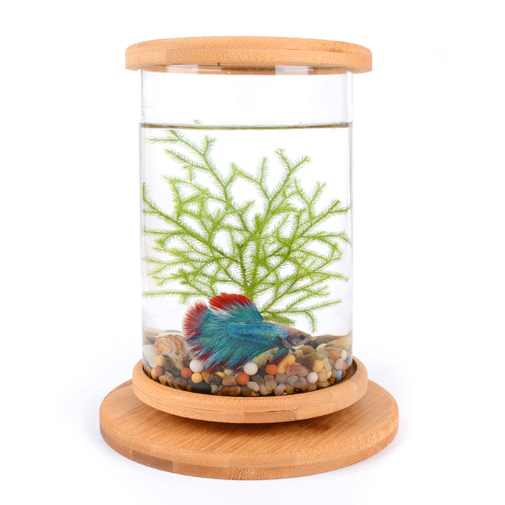 Rotatable Mini Fish Tank