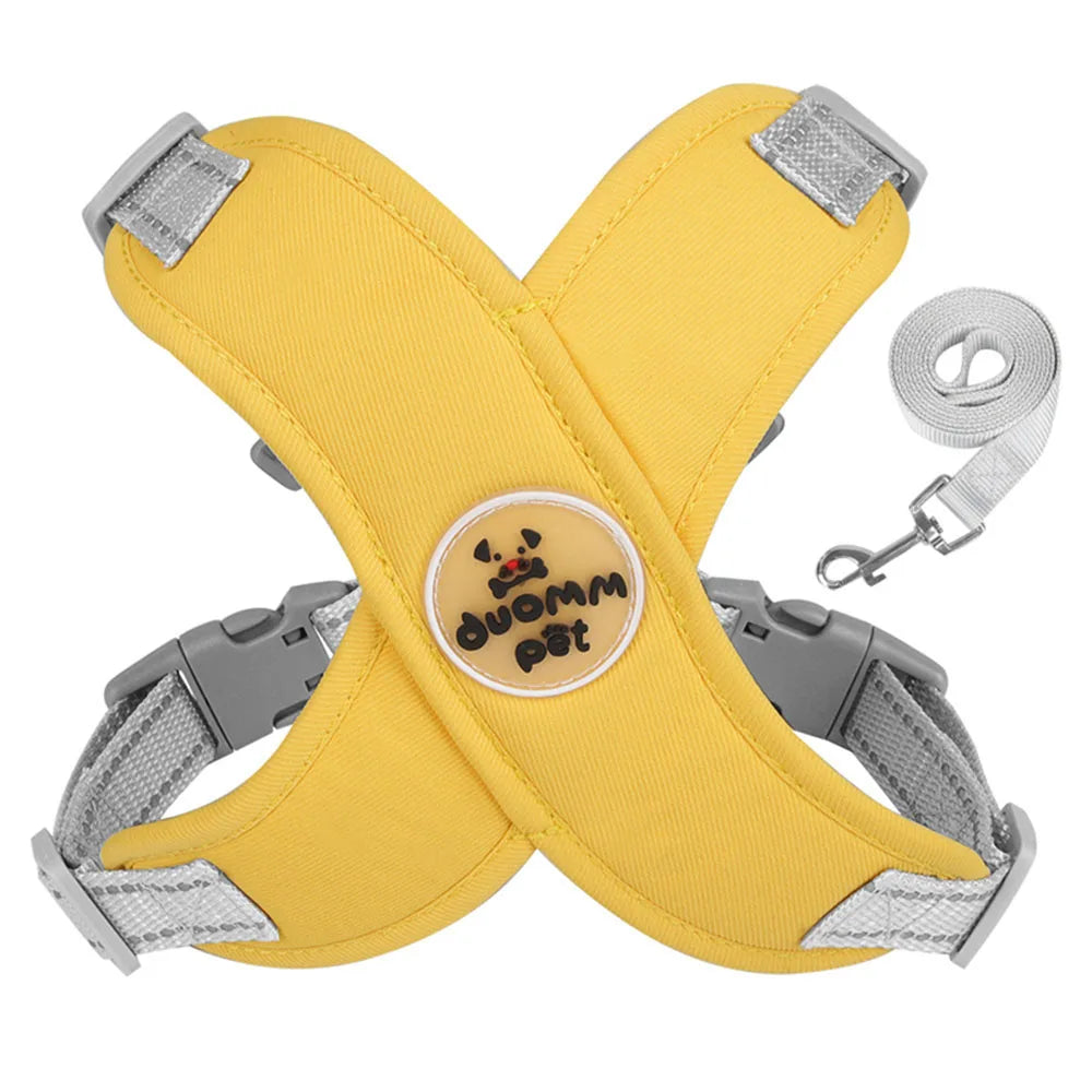 Adjustable No-Pull Dog Harness with Leash Set