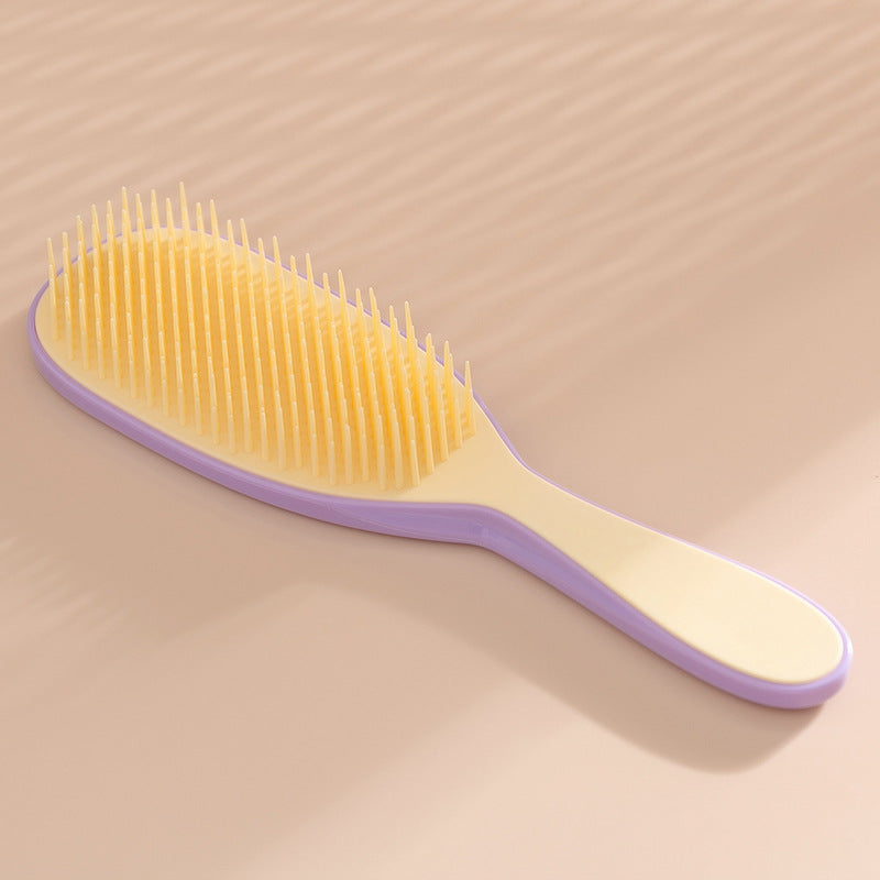 Long Handle Anti-Static Scalp Massage & Detangling Hair Brush