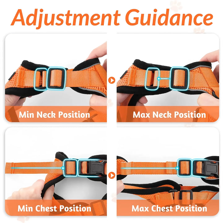 Escape-Proof Cat Harness & Leash