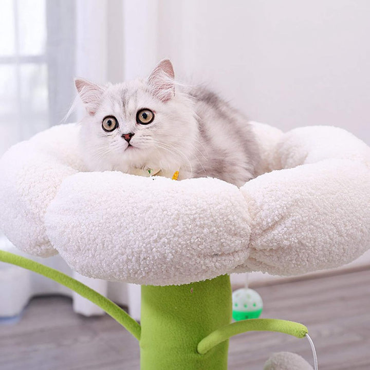 Ultimate Cat Tree Tower with Scratcher Post & Climbing Frame