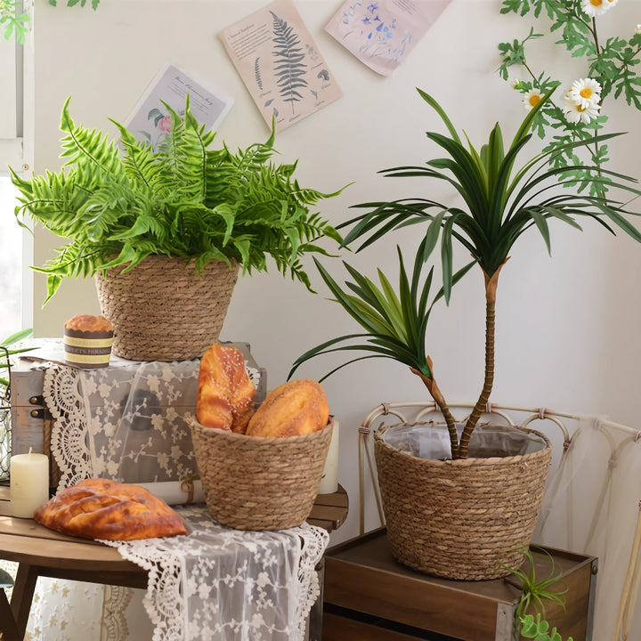 Straw Woven Plant Basket Set