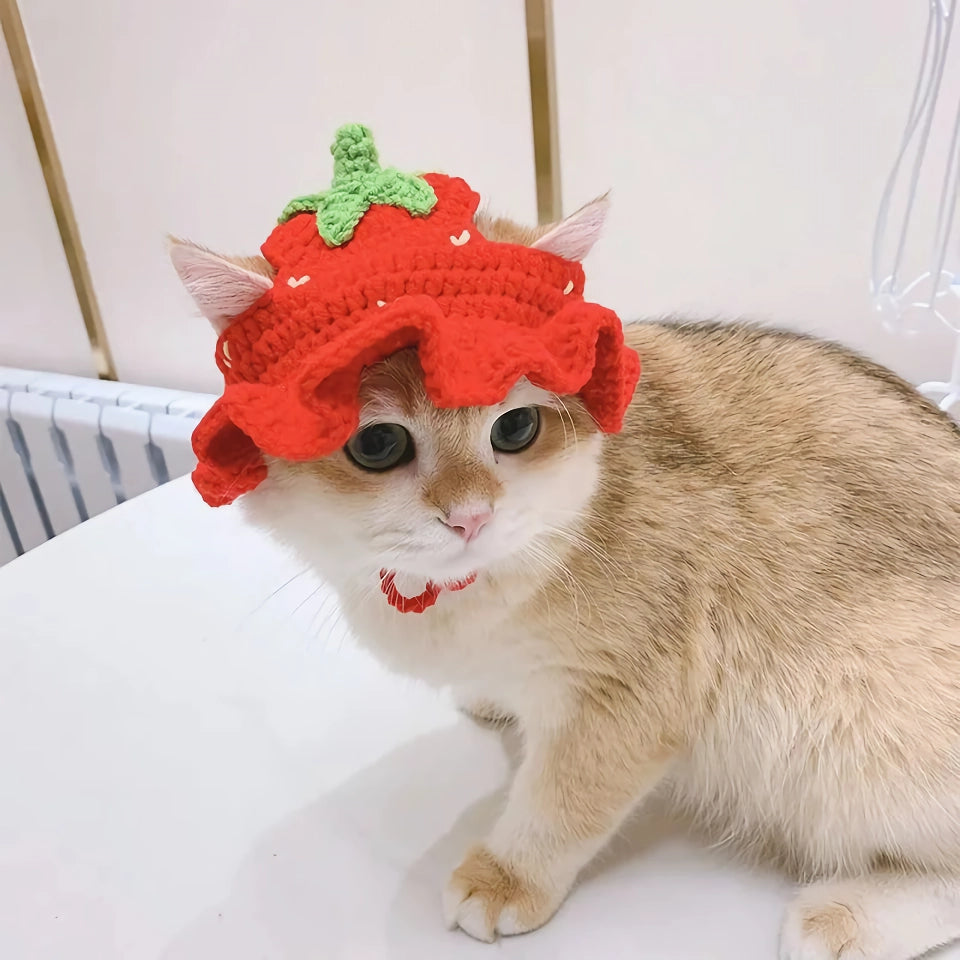 Cute Knitted Hat for Cats