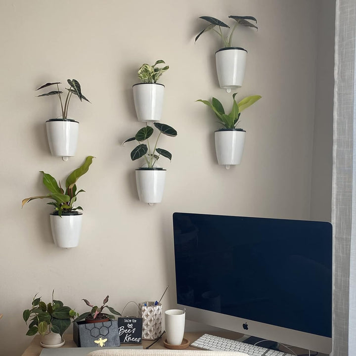 Modern Wall-Mounted Hydroponic Flowerpot