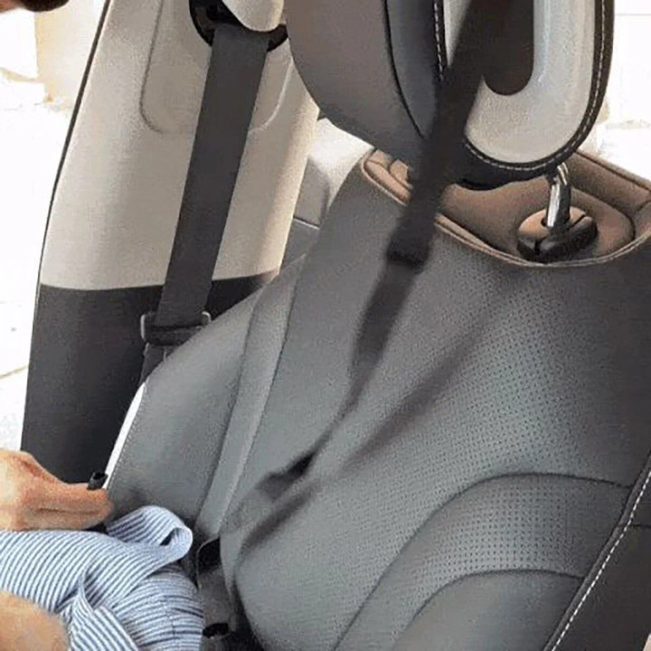 Portable Pet Booster Car Seat – Safety & Comfort for Your Furry Co-pilot