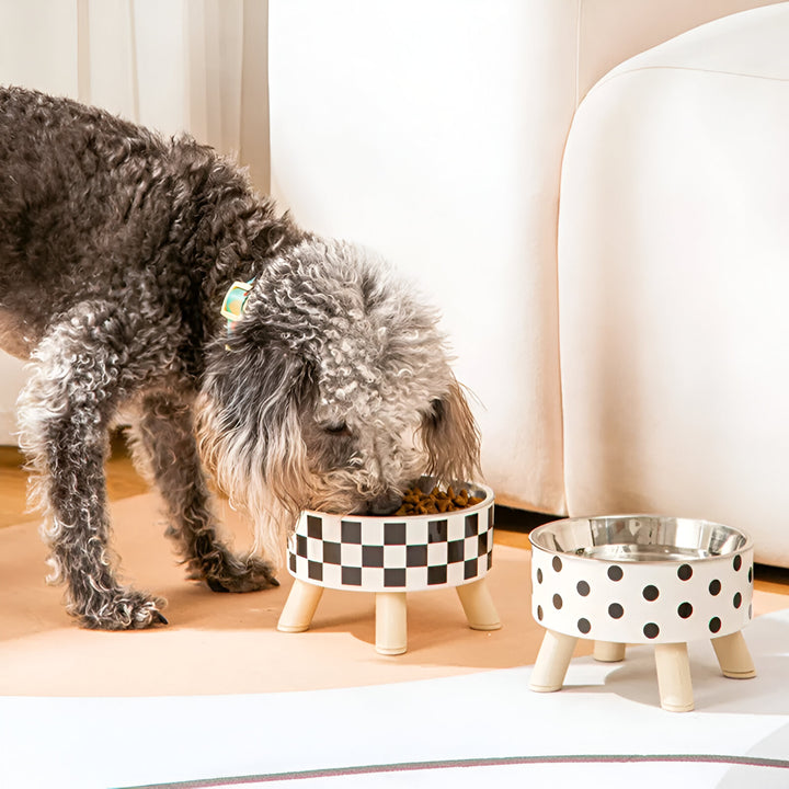 Raised Cat Feeder Bowl with Anti-Choking Design