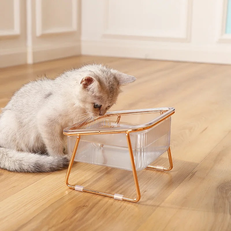 Elevated Double Pet Bowls for Dogs and Cats with Iron Stand, Anti-Skid & Tilted Design