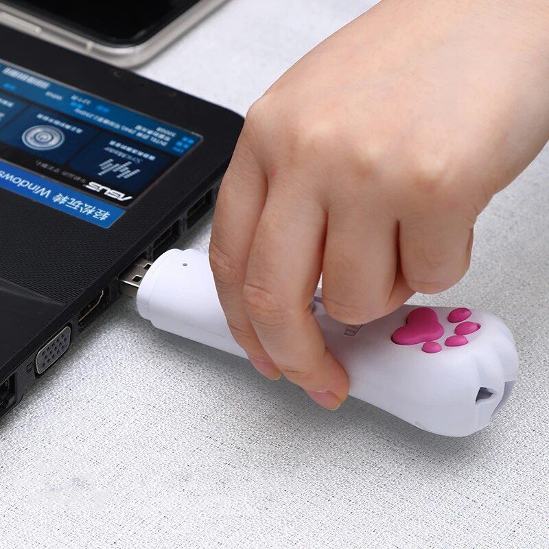 6-in-1 USB Rechargeable Pet Laser Toy with LED & UV Functions