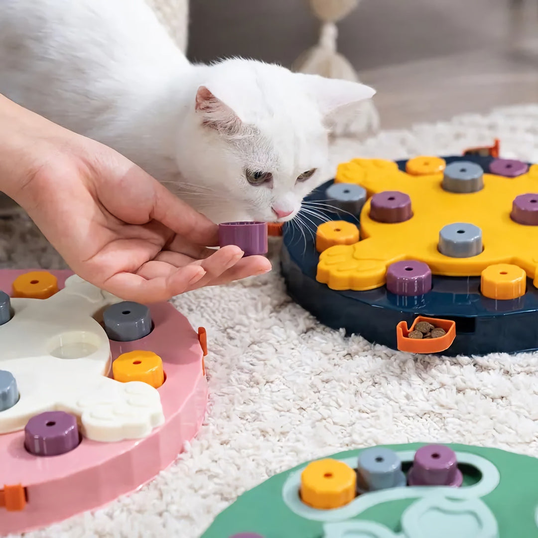 Slow Feeder Puzzle Toy