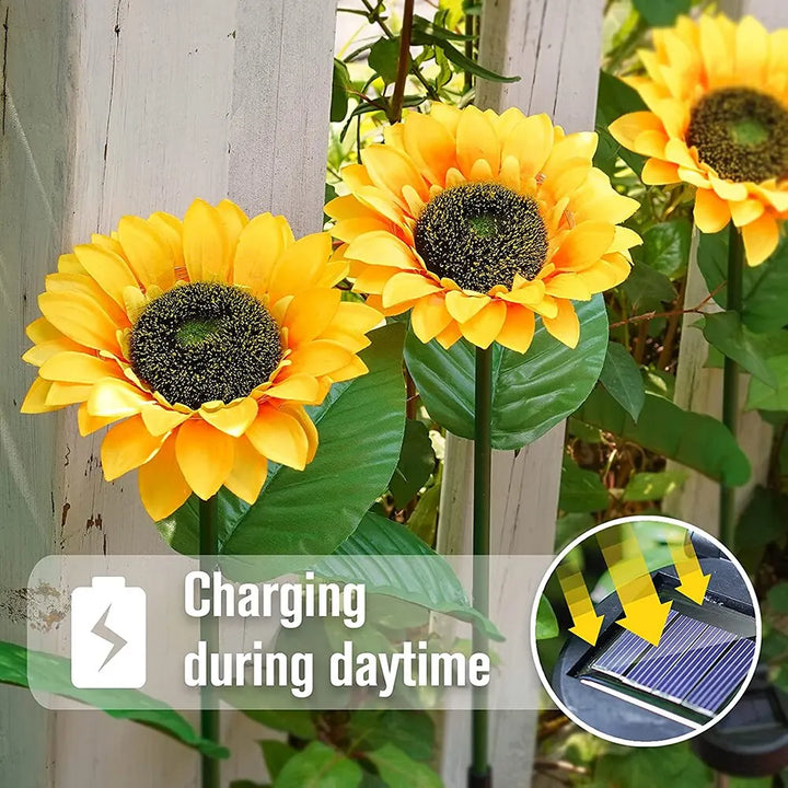 Solar Sunflower Lights