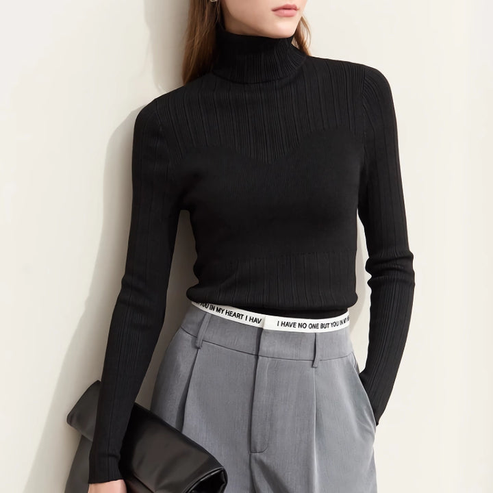 Elegant Autumn Turtleneck Sweater