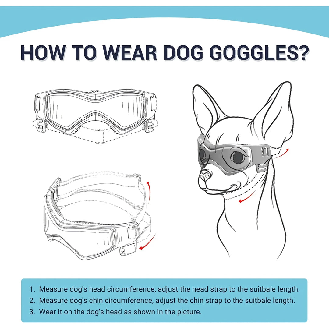 Dog Goggles with UV Protection