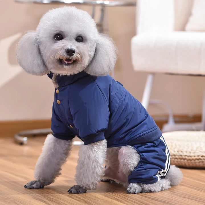 Cute Winter Cats Tracksuit for Dogs – Cozy Pet Jumpsuit