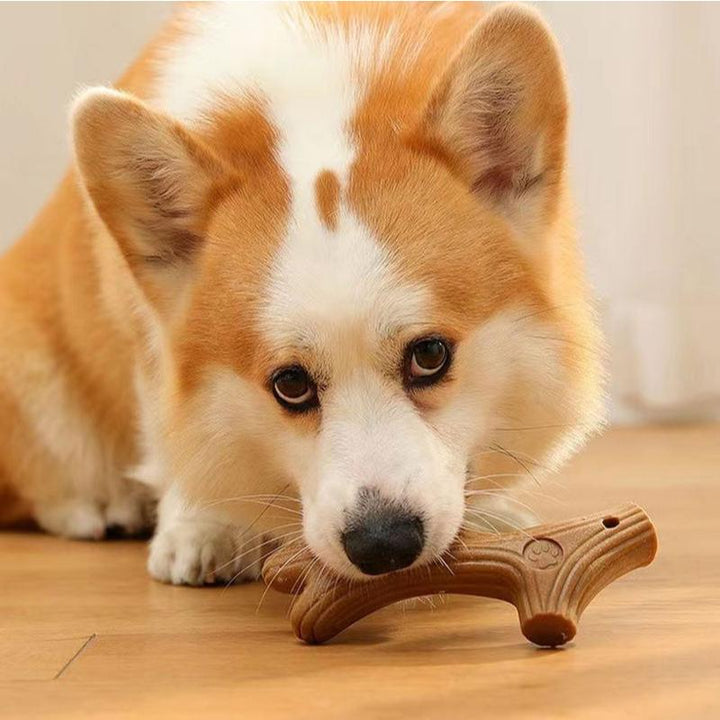 Pine Wood Dog Chew Toy