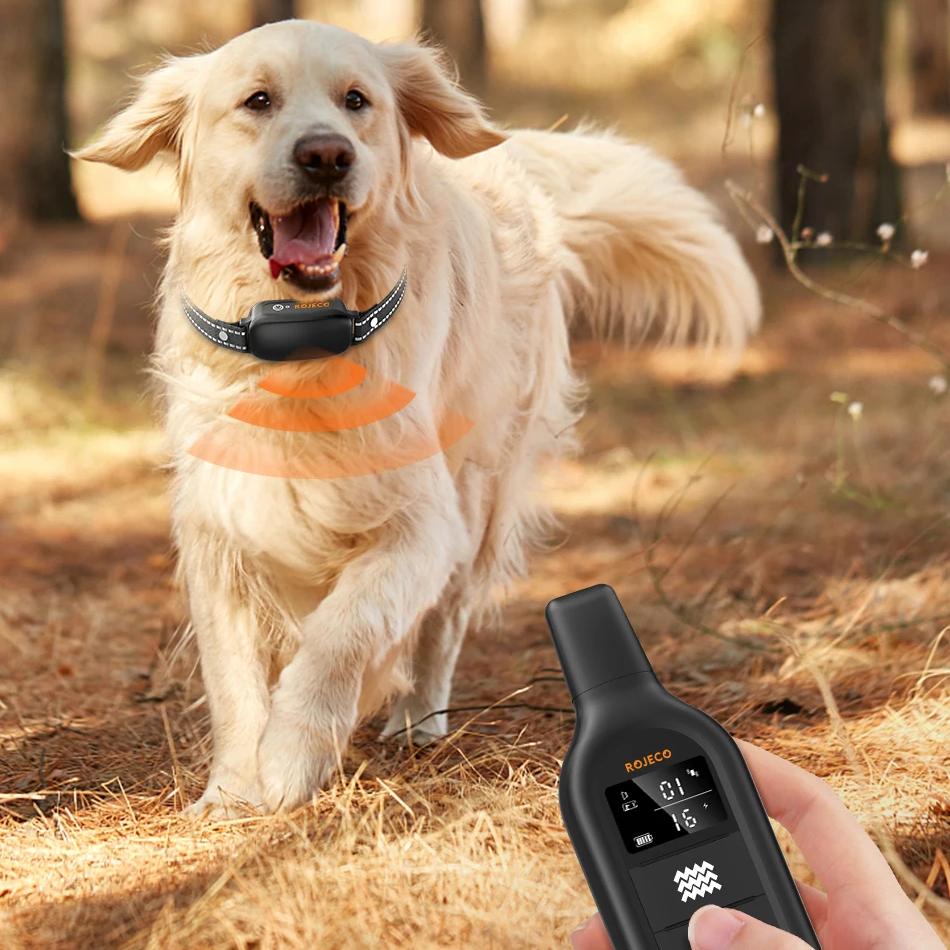 Electric Dog Training Collar