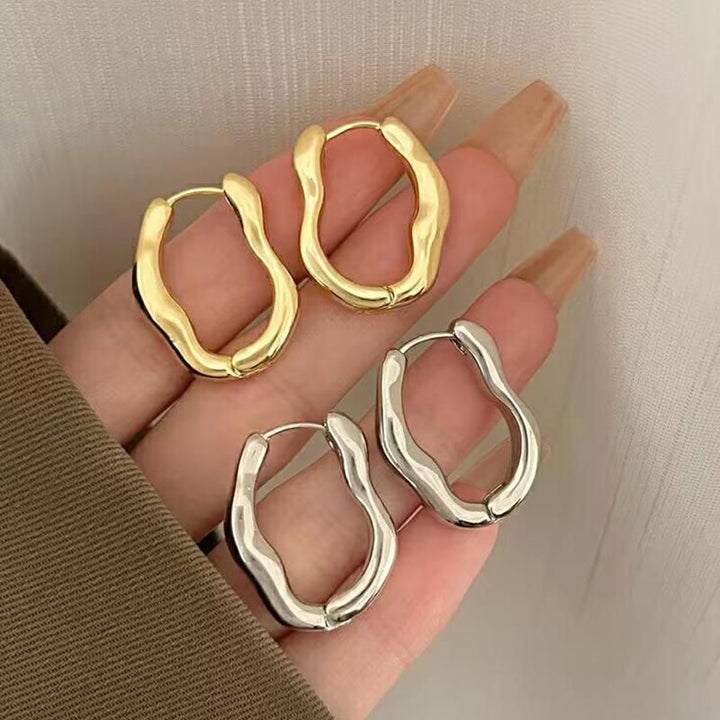 Luxurious Stainless Steel Geometric Hoop Earrings for Women