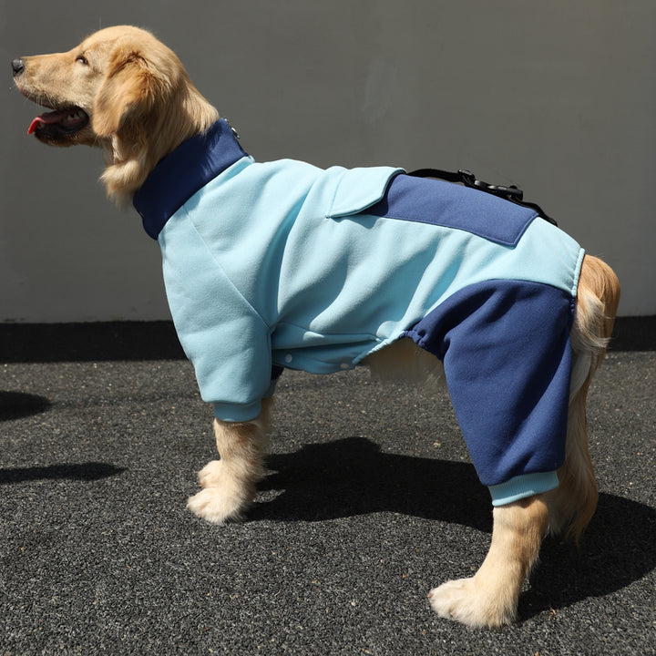 Sporty Big Dog Jacket