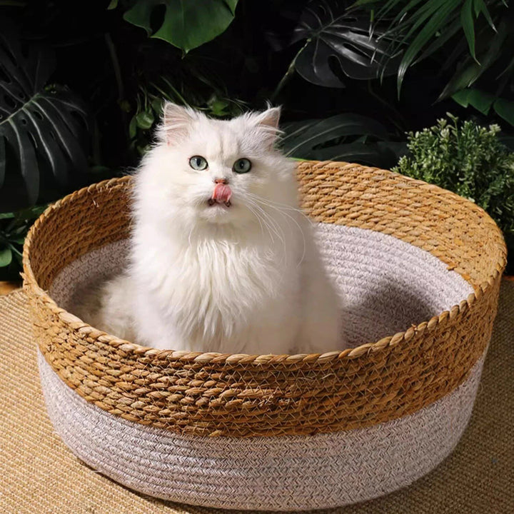 Handwoven Rattan Cat Bed