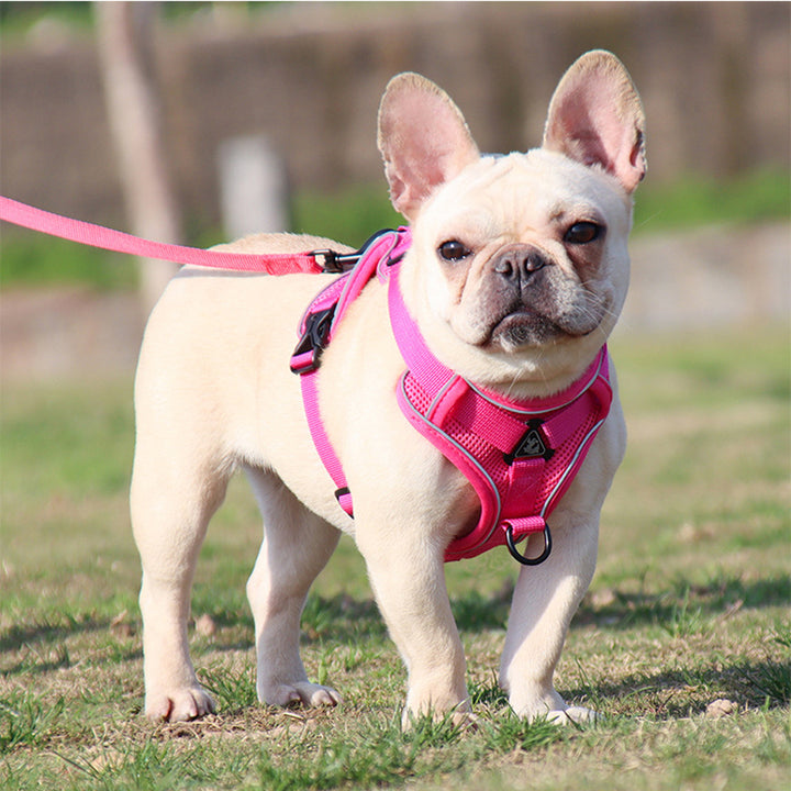 Adjustable Reflective No-Pull Dog Harness and Leash Set for Small and Medium Dogs