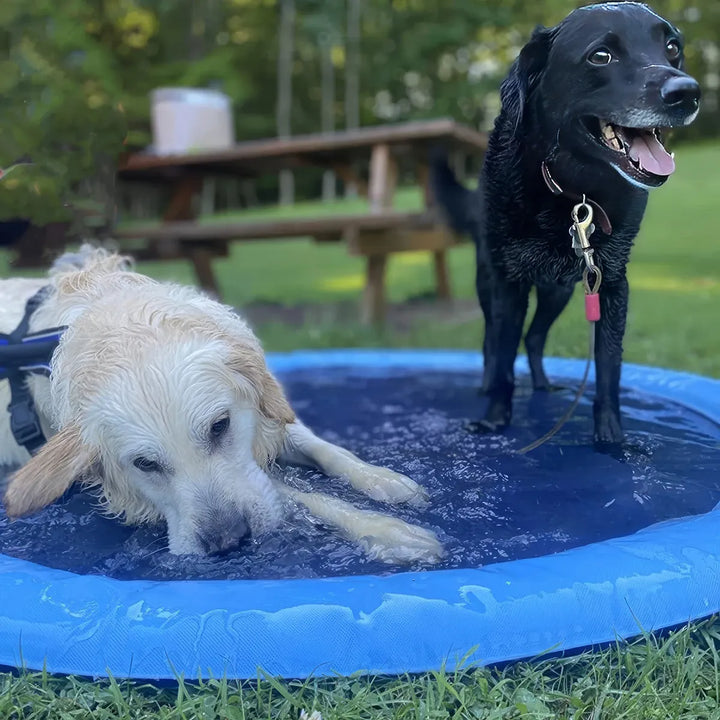 Interactive Dog Splash Pool & Sprinkler Mat