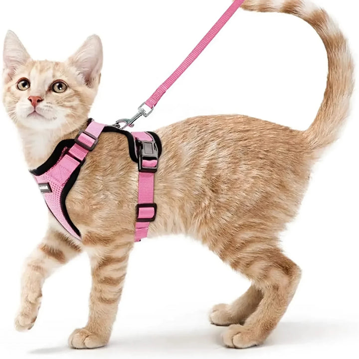 Escape-Proof Cat Harness & Leash