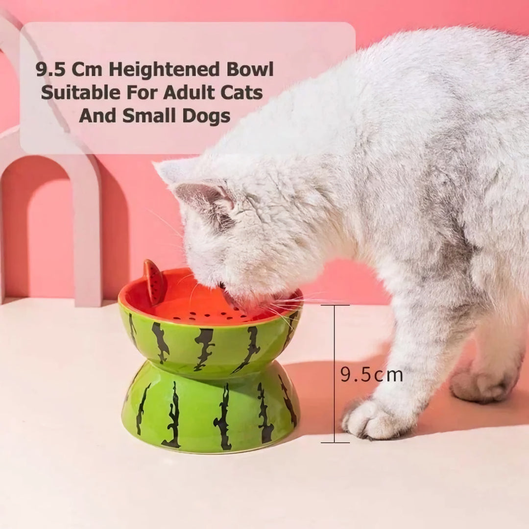 Fruit-Shaped Ceramic Pet Bowl