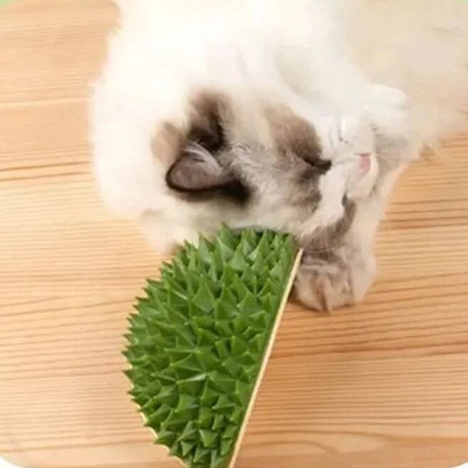 Multifunctional Durian Cat Toy Scratch Comb Massage