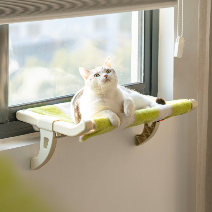 Cat Hammock Hanging Bed