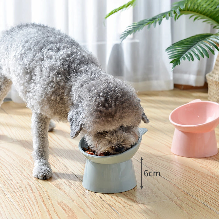 Elevated Cat and Dog Bowl with 45-Degree Tilt