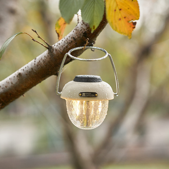 Camping Lantern LED Lighting