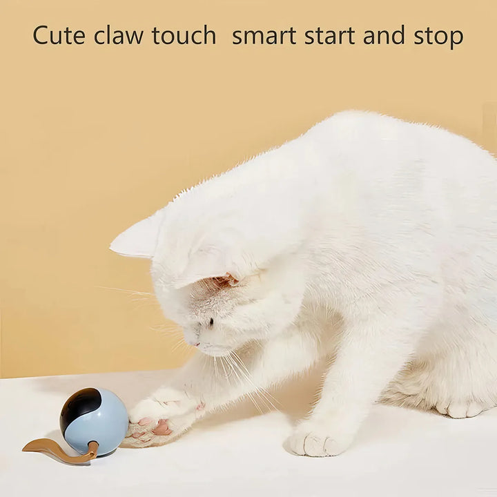 Interactive Cat Toy: Smart Moving Bouncing Ball for Indoor Cats