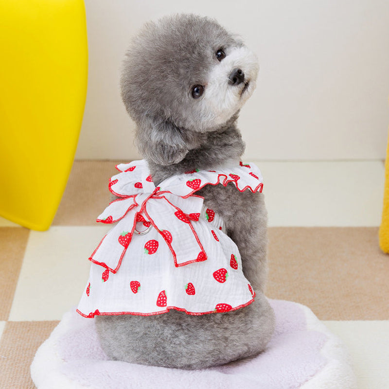 Cute Summer Dog Dress