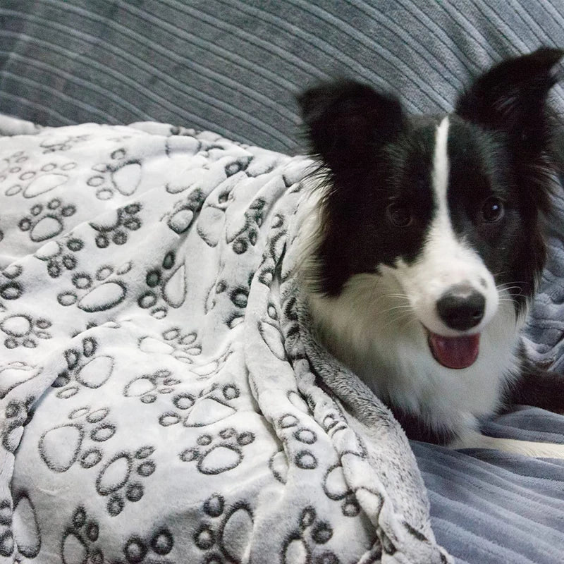 Soft Warm Dog Blanket with Cute Paw Print