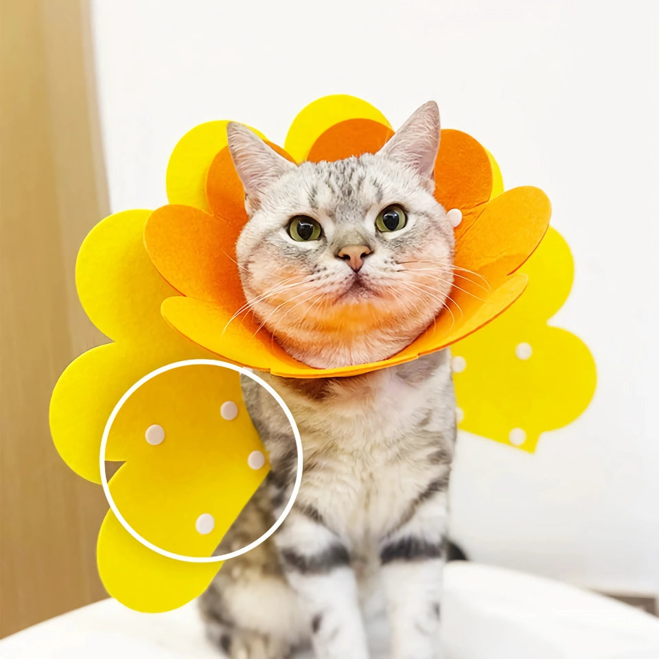 Yellow Flower Shaped Pet Protective Anti-Bite Lick Neck Collar