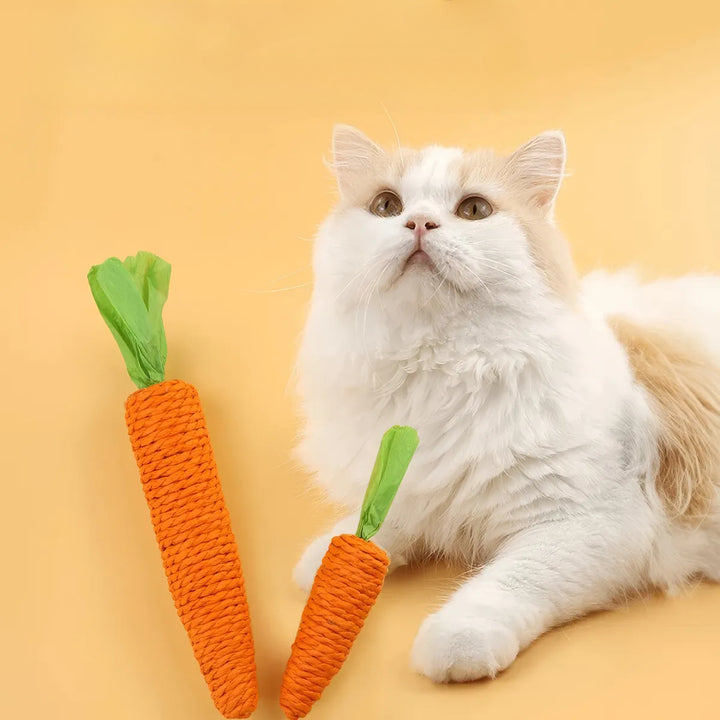 Interactive Carrot Cat Toy: Enticing Bite-Resistant Fun!